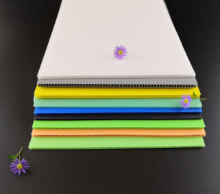 Corflute lap növényi dobozhoz